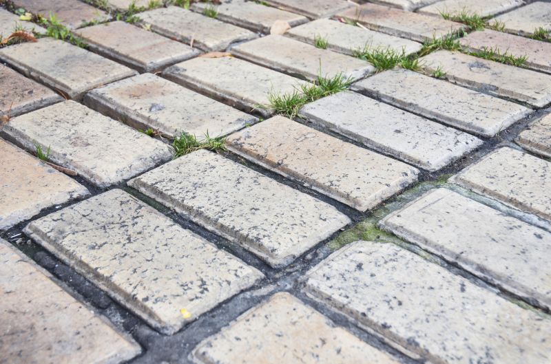 Brick Flatwork Repair in College Grove, TN