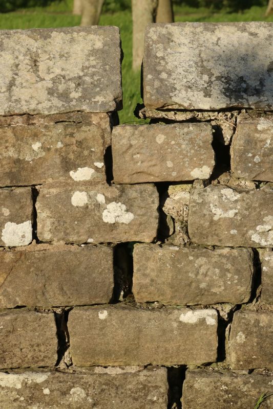 Stone Wall Repair in Hendersonville, TN